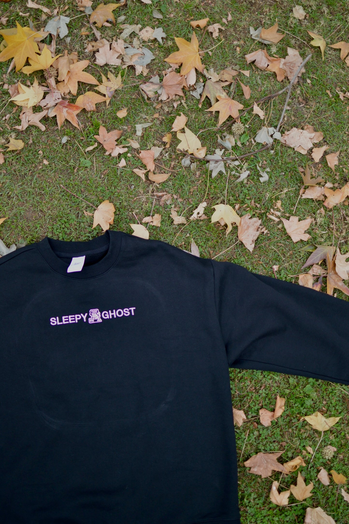 Sleepy Heavy Embroidered Crewneck Sweater